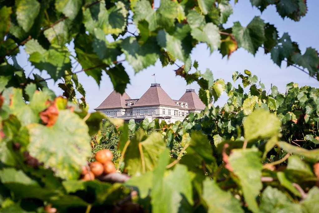 Chateau Elan Winery Braselton Exterior photo
