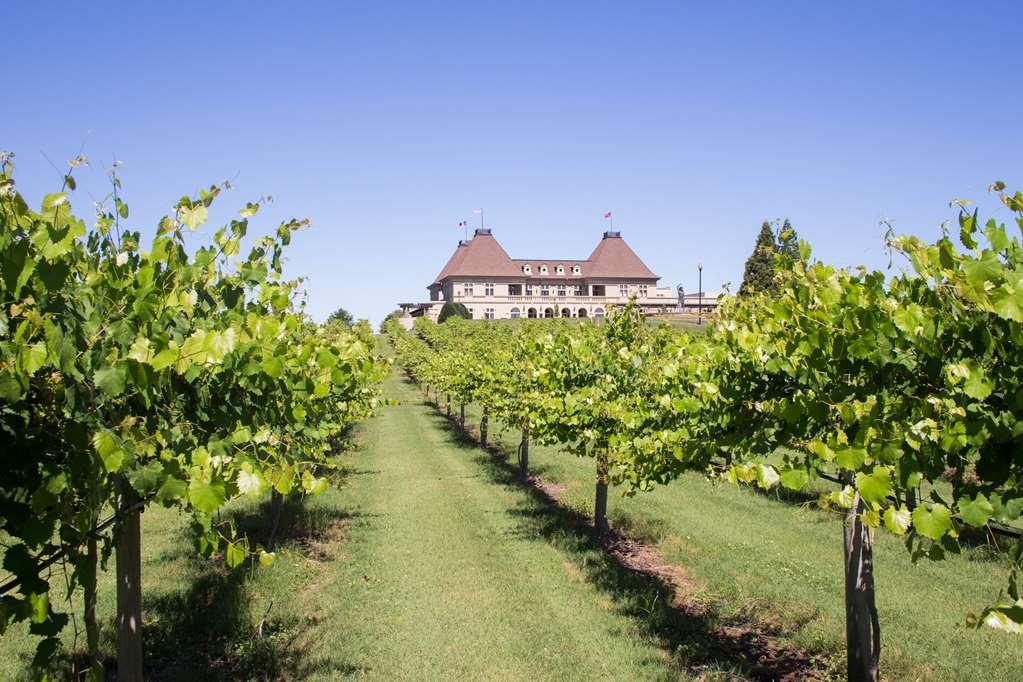 Chateau Elan Winery Braselton Exterior photo